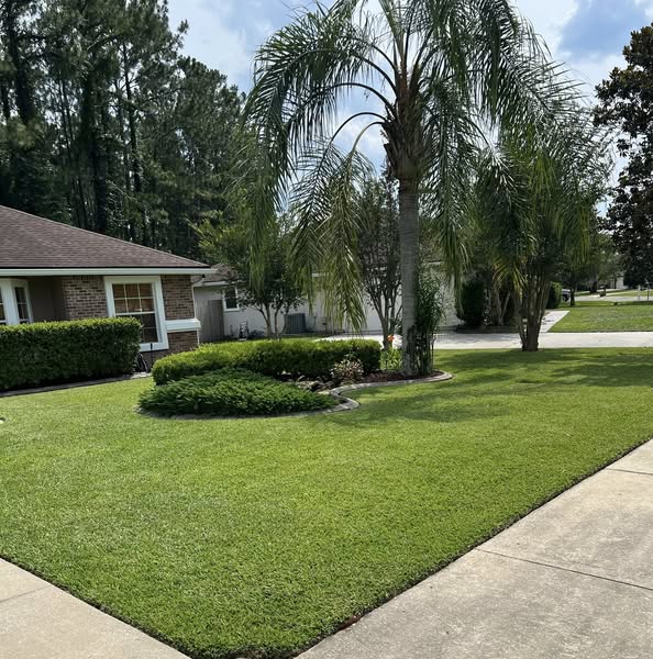 Beautiful landscaped garden